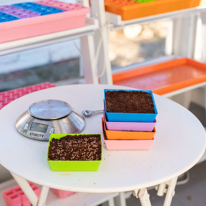 5X5 Shallow Microgreen Trays