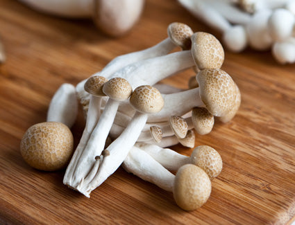 Organic SHIMEJI Mushroom | From Our Suppliers | 1 pack (3.5 oz)