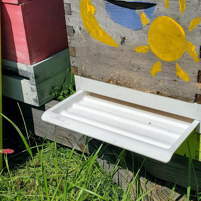Small Hive Beetle Oil Pan Trap