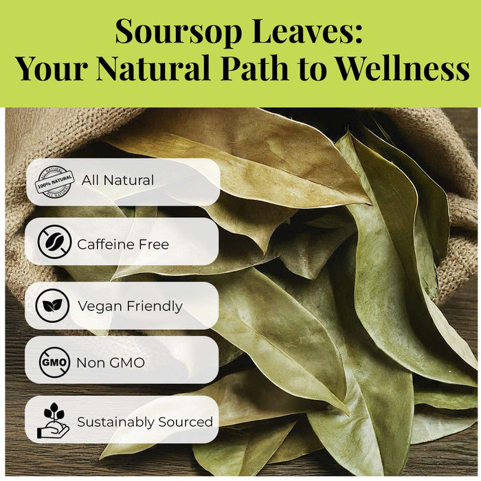 200+ Whole Dried Soursop Leaves – 2.6 oz , 100% Natural Soursop Tea (Graviola Leaves), Caffeine-Free Herbal Tea (Hoja Guanabana)