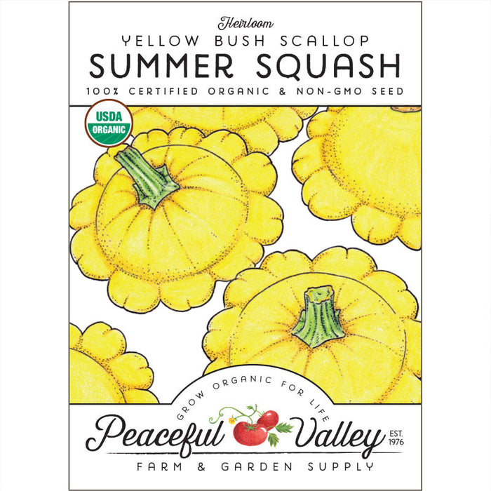 Scallop Yellow Bush Summer Squash Seeds (Organic)