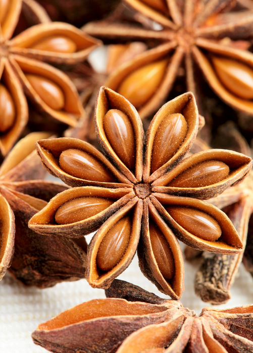 Star Anise (Illicium verum)