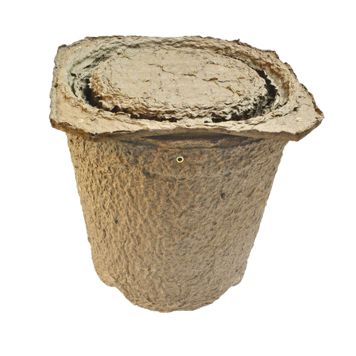 Swarm Trap - Pressed Flower Pot Style