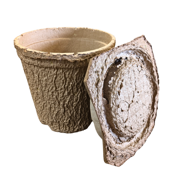 Swarm Trap - Pressed Flower Pot Style