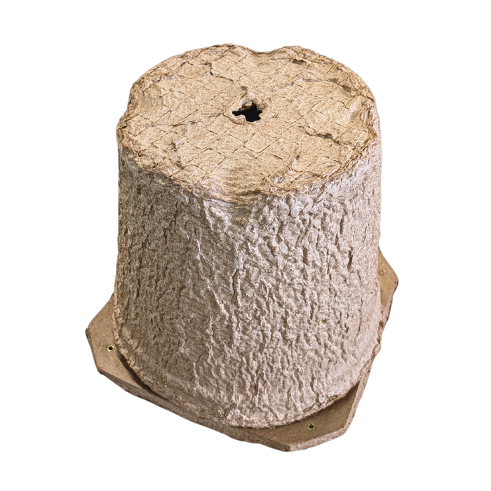 Swarm Trap - Pressed Flower Pot Style