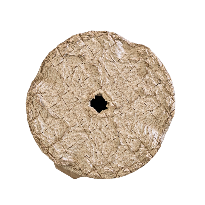 Swarm Trap - Pressed Flower Pot Style