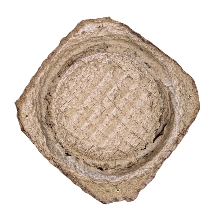 Swarm Trap - Pressed Flower Pot Style