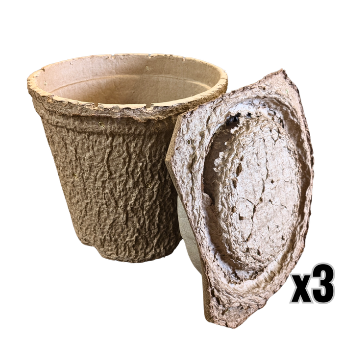 Swarm Trap - Pressed Flower Pot Style