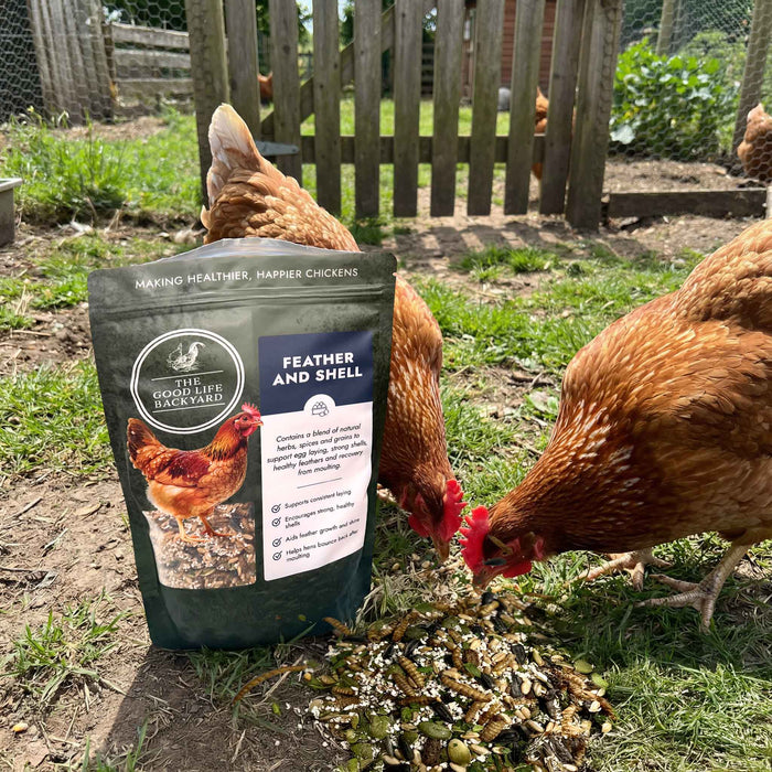 Feather and Shell - Calci-Protein Blend