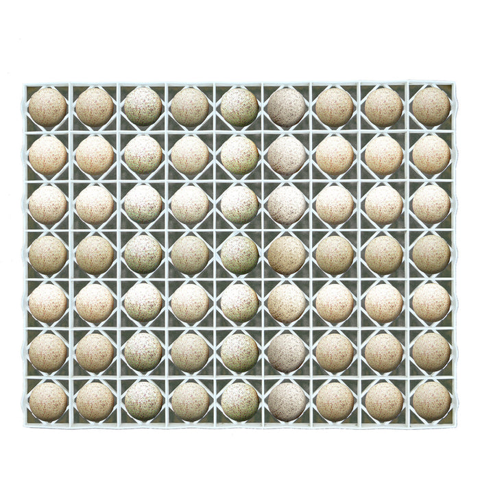 Egg Setter Tray - Duck/Turkey - 63 Eggs