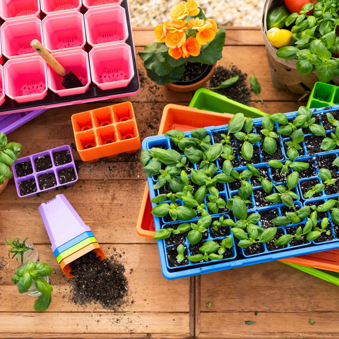 Ultimate Backyard Gardener Bundle