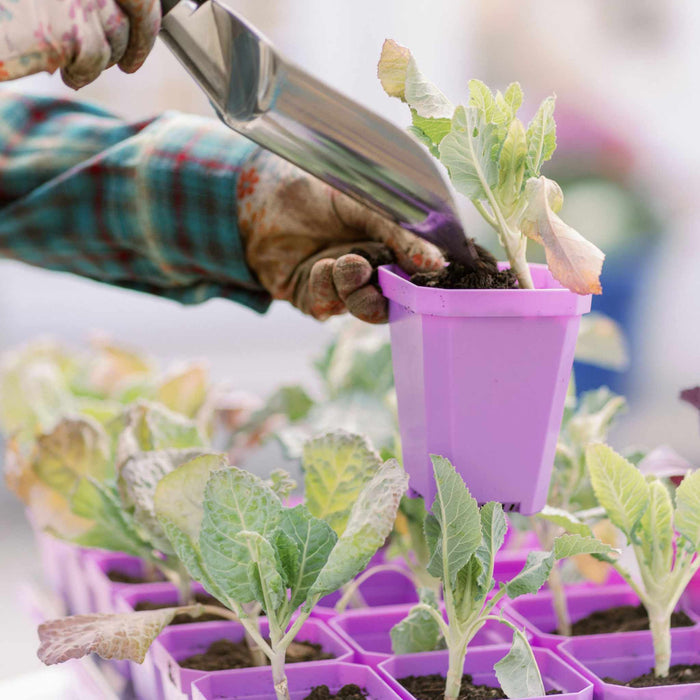 3.3" Heavy Duty Seed Starting Pots with Inserts