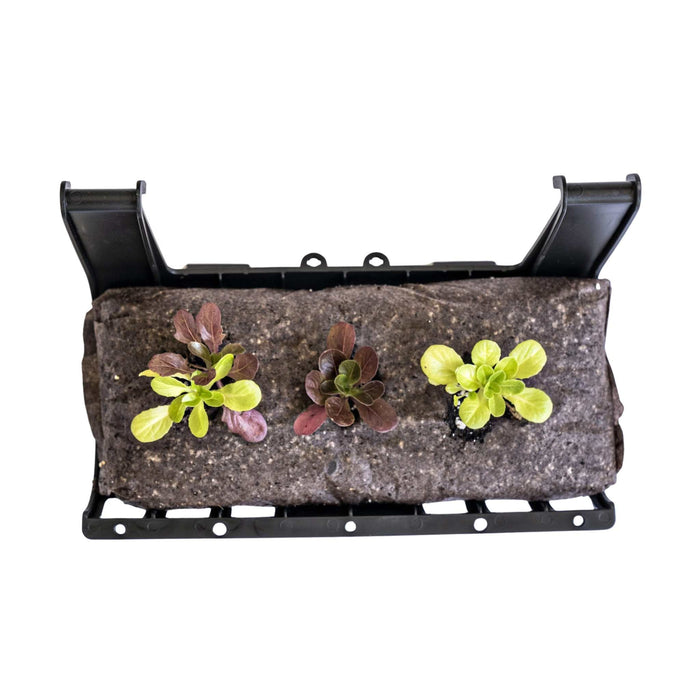 Varden™ Trays