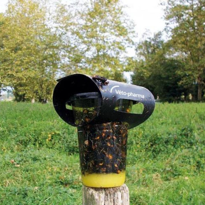 Vespa Catch: Asian Hornet Trap