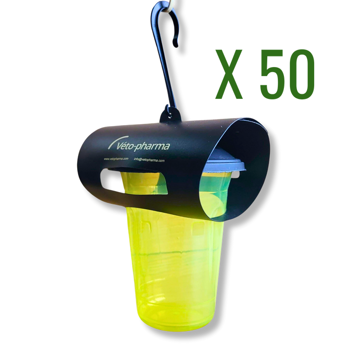 Vespa Catch: Asian Hornet Trap