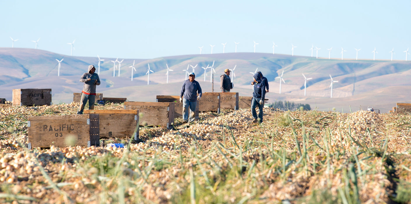 A Year in the Fields: The State of the Washington Farmer