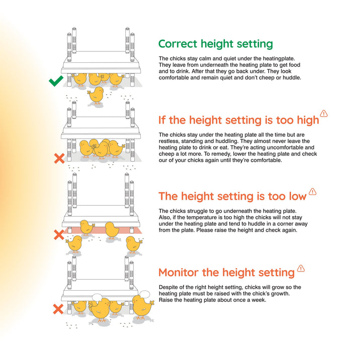 Warmzy Heating Plate (14" x 14") 25-30 chicks