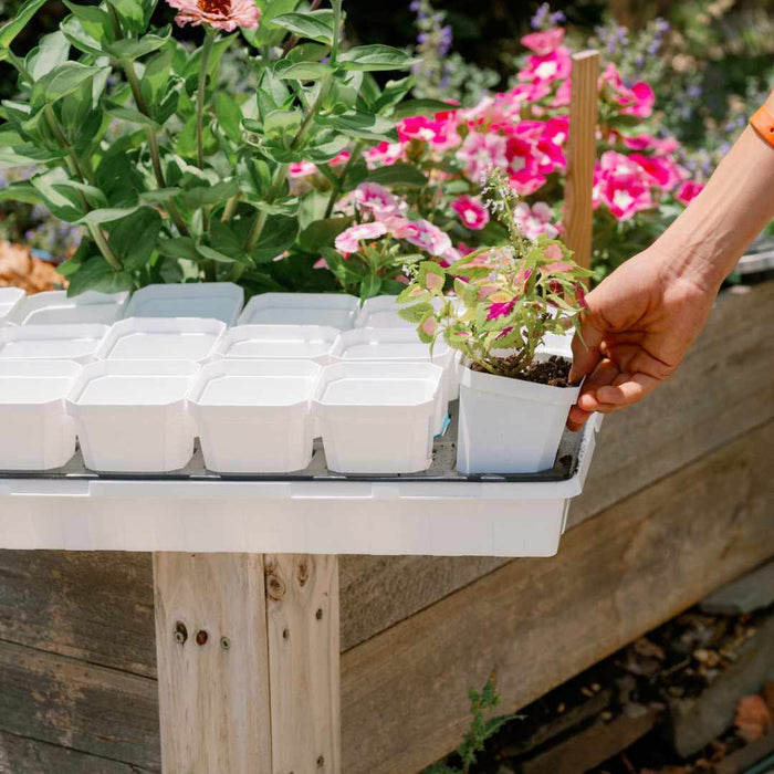 3.3" Heavy Duty Seed Starting Pots with Inserts