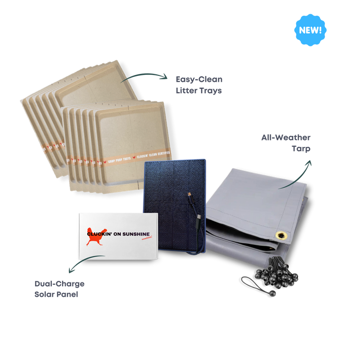 Power + Protect Bundle