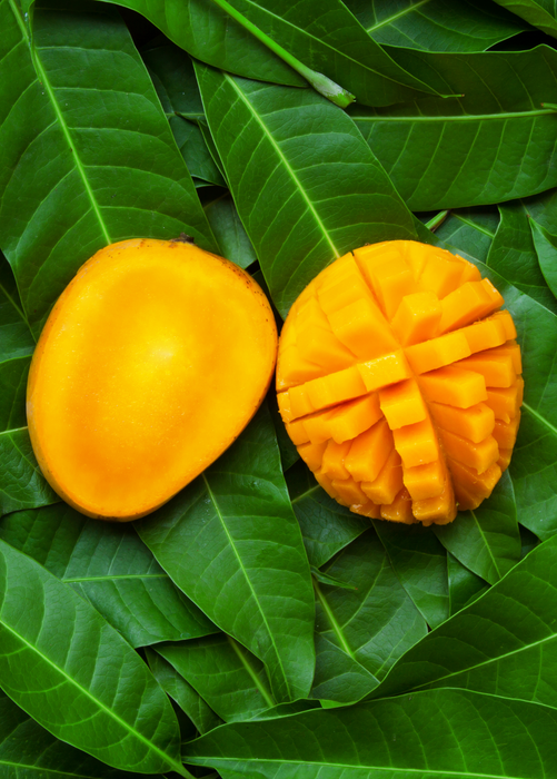 Mango 'Angie' (Mangifera indica)