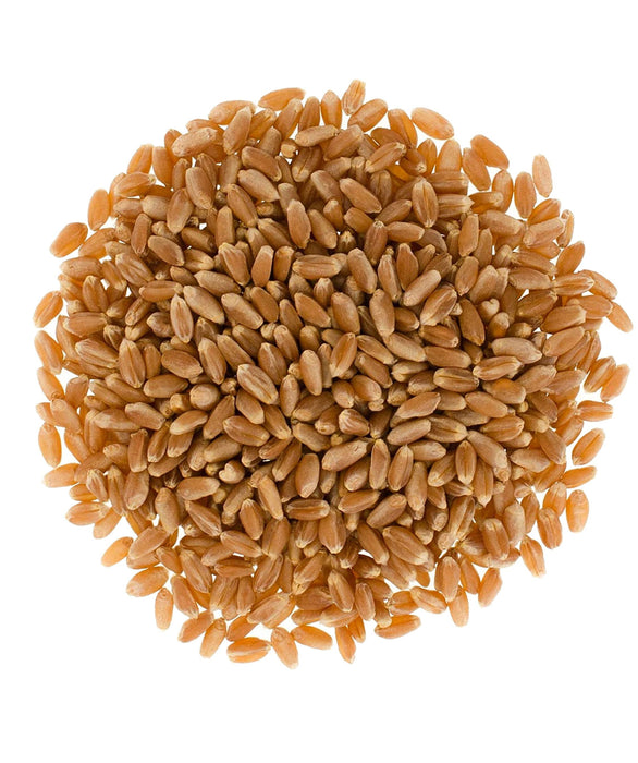 Hard Red Spring Wheat Bundle | 100 LB | Certified Glyphosate Residue Free