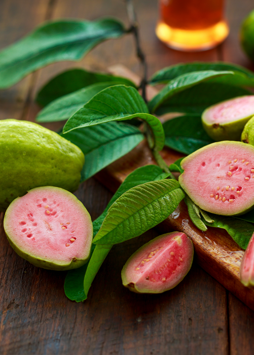 Guava 'Barbie Pink' (Psidium guajava)