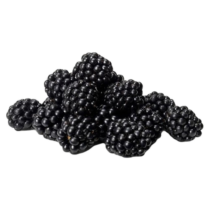 Blackberries (1 Punnet)