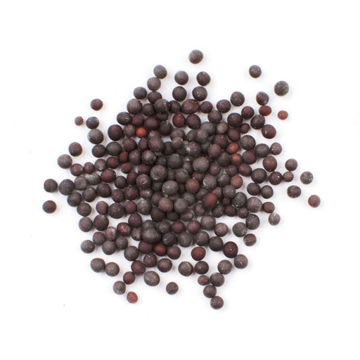 Seasonings & SpicesMustard Seed, BlackMustard Seed, BlackSpecialty Food SourceThe black mustard seed is a small, round, dark brown seed with a sharp flavor. It is used to add spice to dishes or as a condiment. Black mustard seeds are high in f