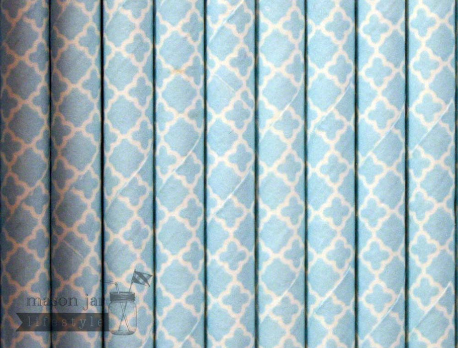 Random 24 Pack Paper Straws