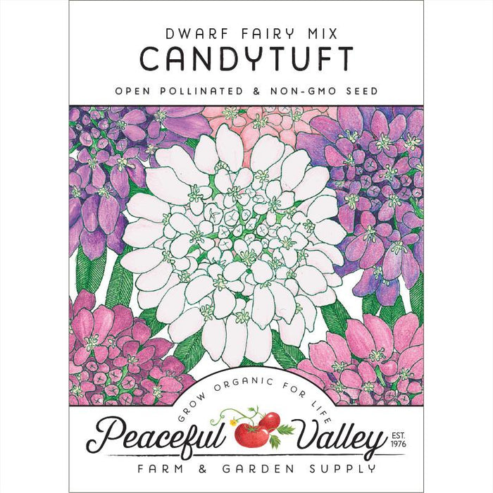 Candytuft, Dwarf (pack)