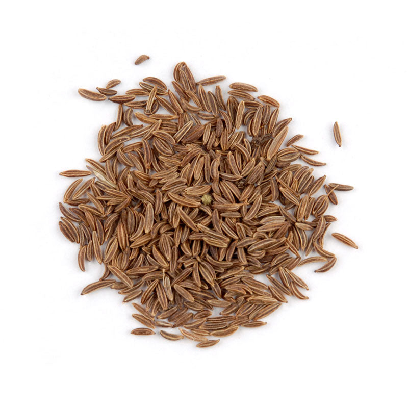 Caraway Seed-Specialty Food Source