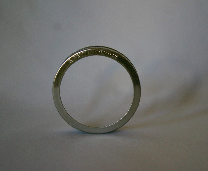 ChouAmi Stainless Steel Flat Panel & Ring Set