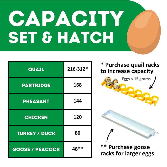 CT120 SH - Egg Incubator - Setter & Hatcher