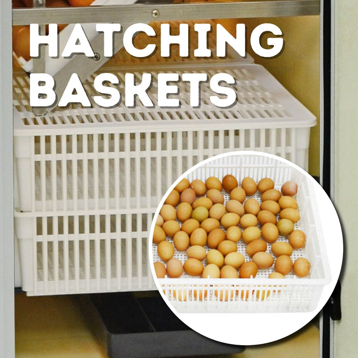 HB175 C - Egg Incubator - Setter & Hatcher