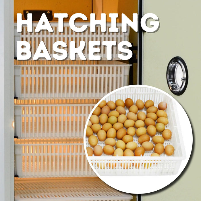 HB700 H - Egg Incubator - Hatcher