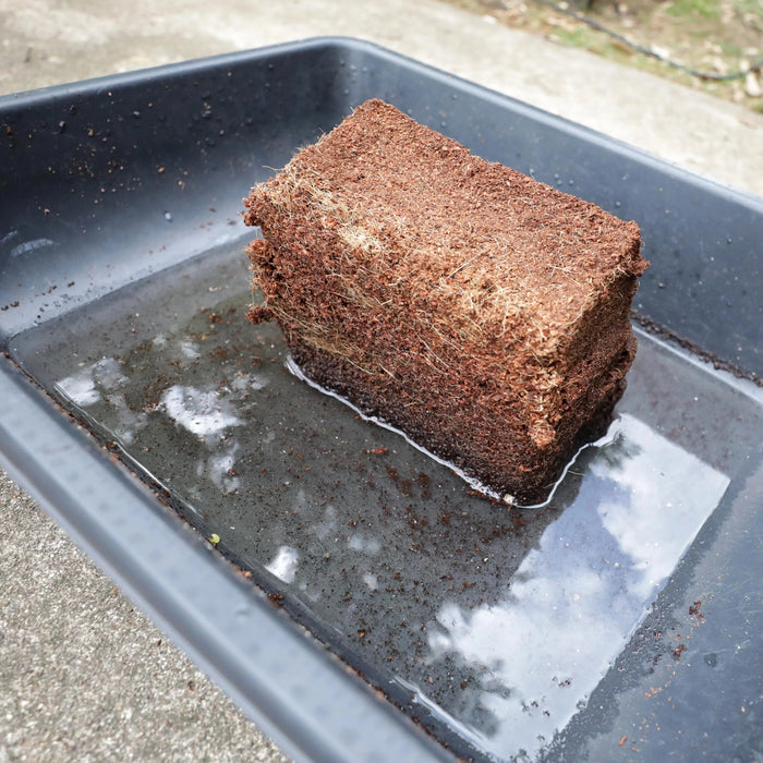 Coco Coir Brick