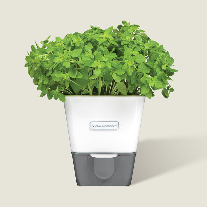 Cole & Mason Tealby Cut Herb Keeper