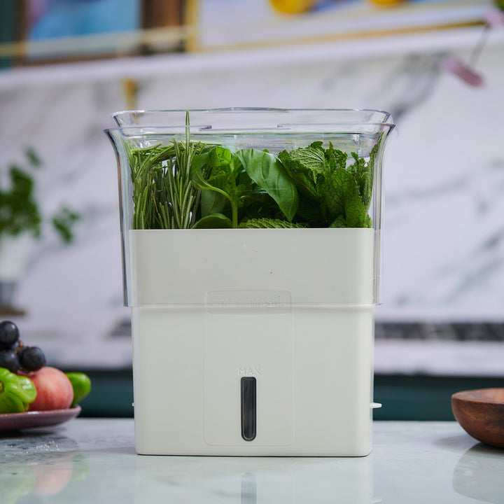 Cole & Mason Tealby Herb Keeper - Thumbnail 5