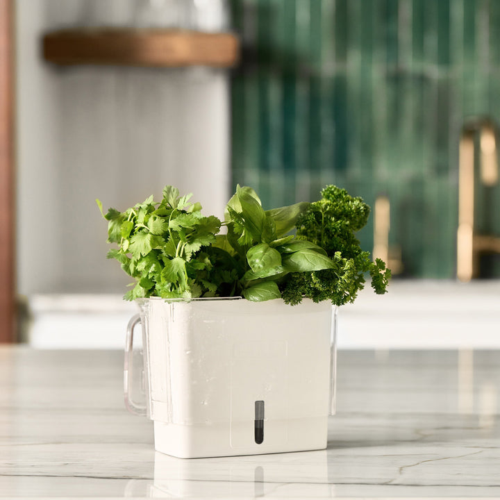 Cole & Mason Tealby Herb Keeper - Thumbnail 4