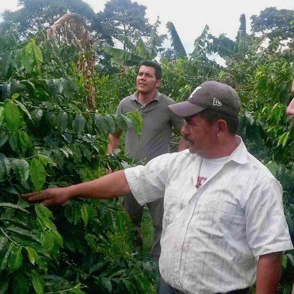 Colombian Supremo- Huila