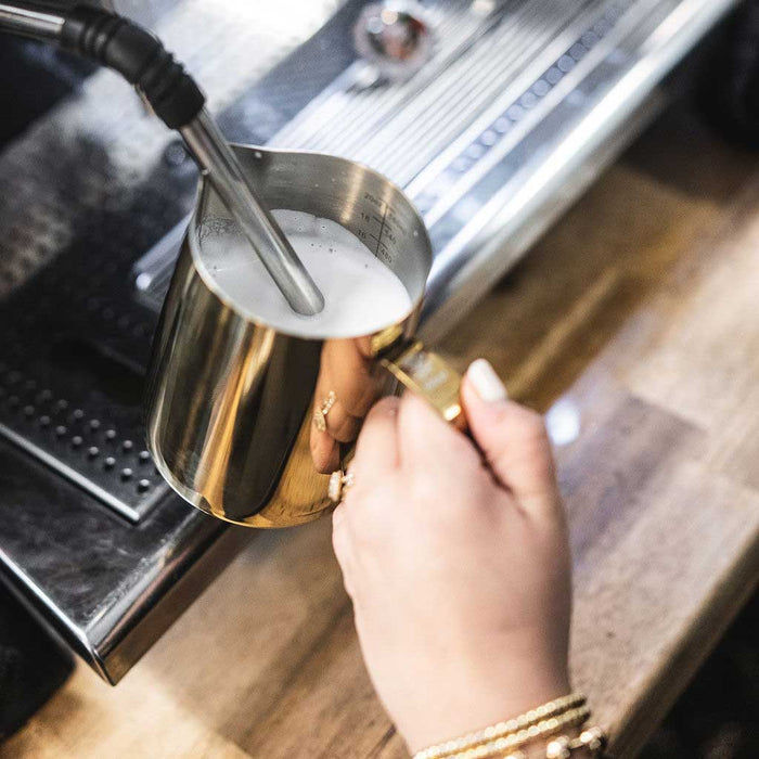 Barista Basics Milk Frothing Pitcher, 20oz, Gold