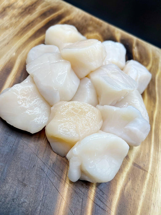 Colossal Boston Dry Scallops | U-8