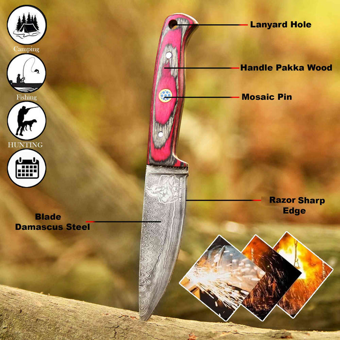 Damascus Steel Fixed Blade Knife – Pink & Blue Pakka Wood Handle | JW SteelCrafts
