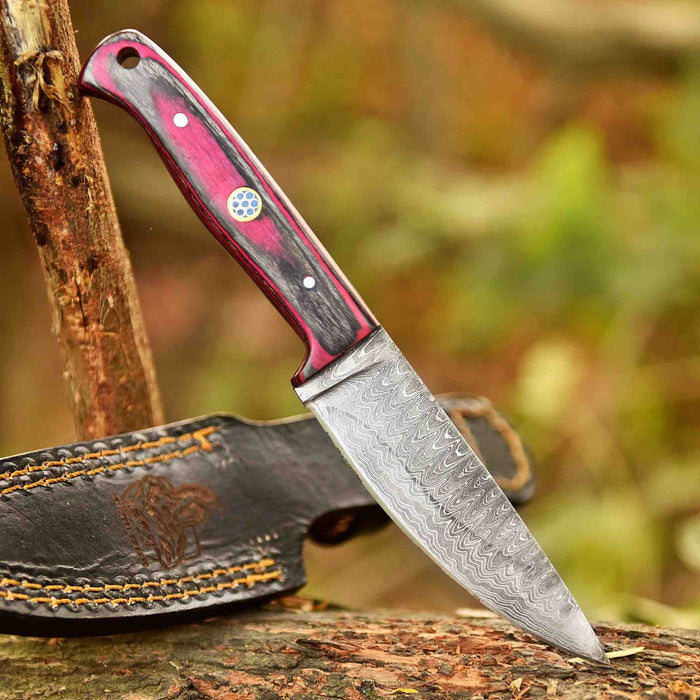 Damascus Steel Fixed Blade Knife – Pink & Blue Pakka Wood Handle | JW SteelCrafts
