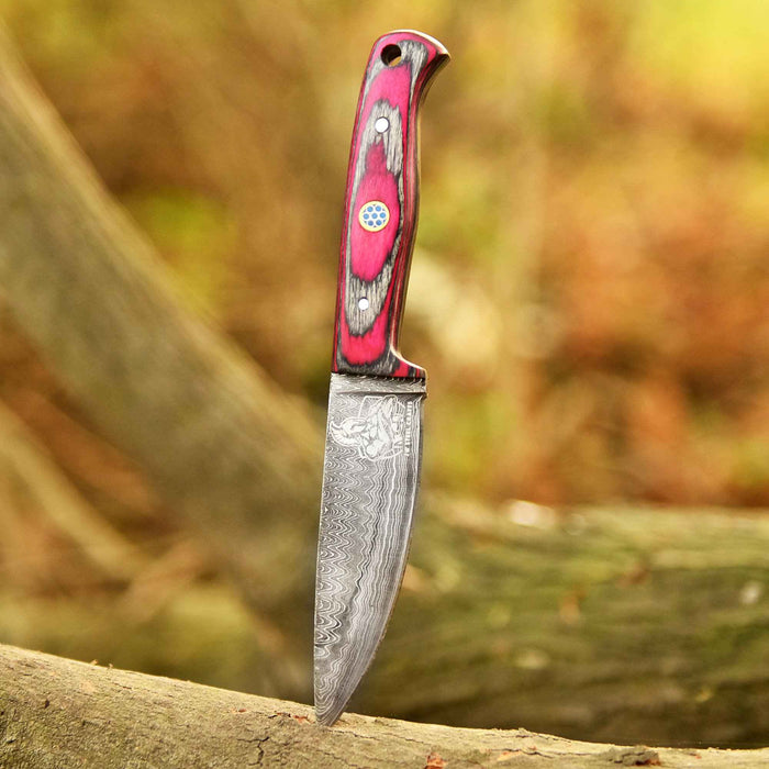 Damascus Steel Fixed Blade Knife – Pink & Blue Pakka Wood Handle | JW SteelCrafts