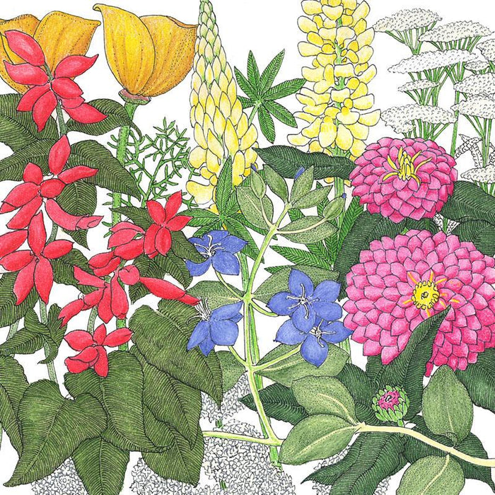 Deer Proof Garden Wildflower Mix (lb)