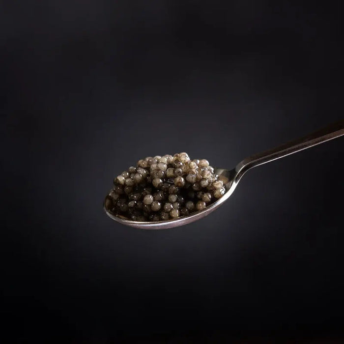 Order White Sturgeon Caviar – Sustainably Sourced, Delivered Fresh