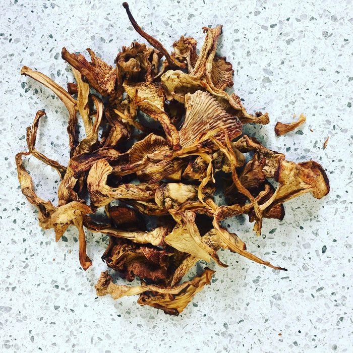 Dried Wild Chanterelle Mushrooms