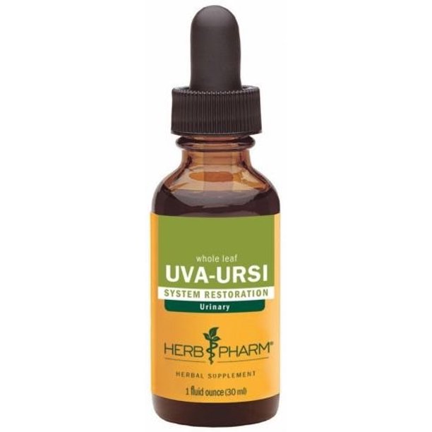 Herb Pharm Uva Ursi Liquid Extract - Antibacterial & Urinary Tract Support - 1 Fl Oz