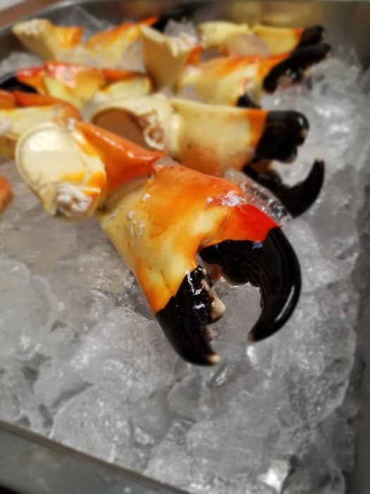 Florida Stone Crab | 8 Jumbo Claws